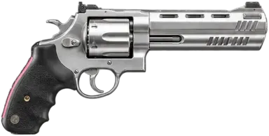 Raging Bull Magnum